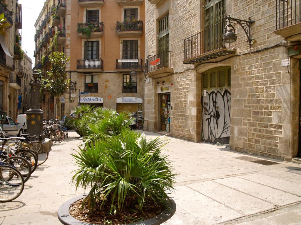 Hostal Nitzs Bcn Барселона Экстерьер фото